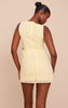 Lemon Chiffon Trim Detail Mini Dress